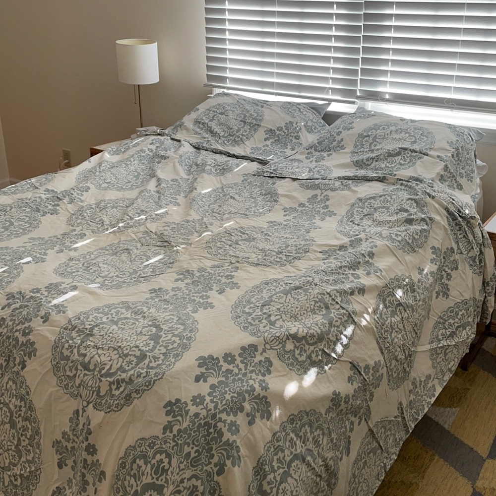Pottery Lucianna Medallion Duvet Cover and Sham. King Size